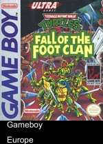 Teenage Mutant Hero Turtles - Fall Of The Foot Clan