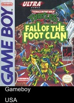Teenage Mutant Ninja Turtles - Fall Of The Foot Clan