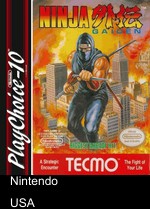 Ninja Gaiden (PC10)